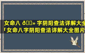 女命八 🌻 字阴阳查法详解大全「女命八字阴阳查法详解大全图片 🍀 」